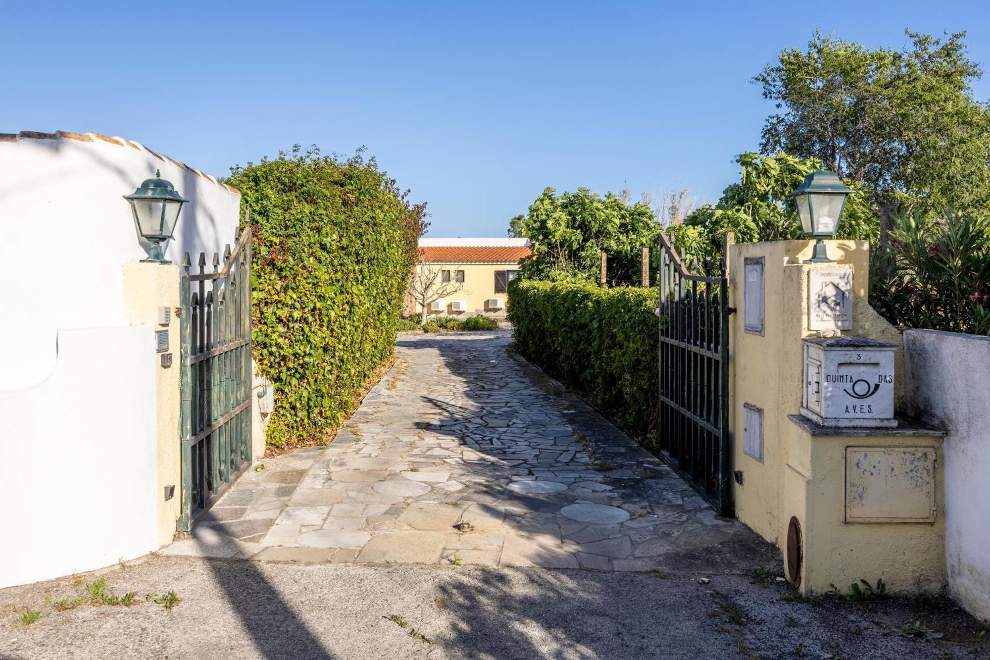 Pinheiral Quinta Das Aves 빌라 외부 사진